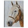 Hand Painted Horse Wooden Wall Art Decor; Multicolor; DunaWest