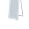 Gisela Full Length Standing Mirror with Decorative Design; White; DunaWest