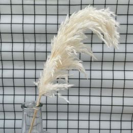 White Color Dried Pampas Grass Bouquet Wedding Decor Dried Flowers (Color: Blue 10 Stems White Color)